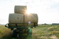 On the tractor trailer there are large round bales of hay against the sunset background. Transportation of hay to silage storage Royalty Free Stock Photo