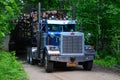 Tractor trailer truck hauling logs Royalty Free Stock Photo