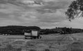 Tractor with trailer on the wheat field, b&W photo Royalty Free Stock Photo