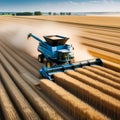 Tractor with trailer working in tandem alongside a working combine harvester discharging grain from uploader