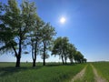 Tractor trails vanishing point perspective composition. Agriculture abstract