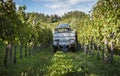 Tractor with truck among the rows of grapevine