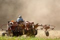 Tractor turning the hay. Royalty Free Stock Photo