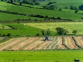 A tractor turns the grass in the hayfield on a spring day. Agricultural work on a farmer`s field in Ireland. Agricultural