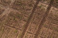 Tractor tyre track pattern imprint in soil of cultivated corn crop field as abstract agricultural background Royalty Free Stock Photo