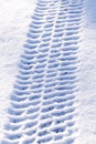 Tractor tyre tracks Royalty Free Stock Photo