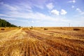 A tractor uses a trailed bale machine to collect straw in the field and make round large bales. Agricultural work, baling, baler,