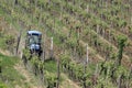 Tractor in vineyard Royalty Free Stock Photo
