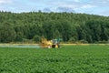 Yellow tractor watering a green potato field