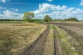Tractor wheel tracks in field, trees and white clouds on blue sky Royalty Free Stock Photo