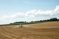 tractor on which a trailer filled with liquid manure hangs drives over a field and sprays the liquid slurry