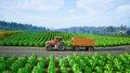 Tractor working in agricultural plots. 3d render