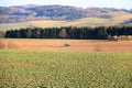 Tractor working on the farm, a modern agricultural transport, a farmer working in the field, fertile land, tractor on a sunset Royalty Free Stock Photo