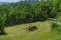 Tractor working in the field. Hay bailing, hay harvesting. Agricultural industry Royalty Free Stock Photo