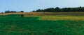 Tractor working at a green field with trees and the blue sky in the background Royalty Free Stock Photo