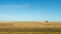 A tractor working in a large field of crops under Royalty Free Stock Photo