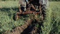 Tractor working on the potato field. Harvesting potatoes with using tractor. Royalty Free Stock Photo