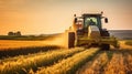 Tractor working on the rice fields barley farm at sunset time, modern agricultural transport Royalty Free Stock Photo