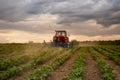 Tractor working in soy field in spring Royalty Free Stock Photo