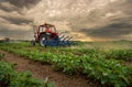 Tractor working in soy field in spring Royalty Free Stock Photo