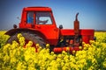 Tractor working on Sunrise over the rapeseed field, beautiful spring day Royalty Free Stock Photo