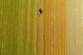 Tractor working on the tulip field Royalty Free Stock Photo