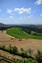 Tractor working in Tuscany