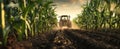 The tractor works through the cornfield at sunset with golden skies. AI generated image Royalty Free Stock Photo