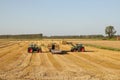 Tractors with front loaders are loading straw bales at a tipping trailer in the fields in holland in summer