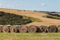 Tractors harvesting hay