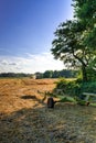 Tractors and harvesting - vintage