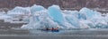 Two tourists sailing in kayak among huge icebergs