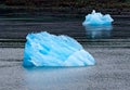 Tracy Arm Fjord Iceberg