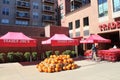 Trader Joe`s grocery store facade and plaza with tents and pumpkins Royalty Free Stock Photo