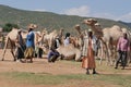 Traders buy and sell camels in the camel market near Somalia