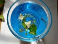 Tradescantia flower in a mug with a blue bottom