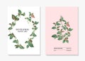 Tradescantia Tricolour home interor plant modern greeting card set. Poster design with houseplant nature illustration. Greenery