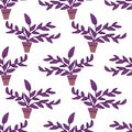 Tradescantia vector pattern