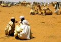 Trading of Camels at the Omdurman market, Khartum, Sudan