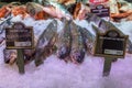 Trading counter with chilled fish