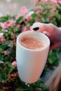 Traditinal Turkish drink, Sahlep, milky hot drink.