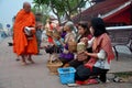 Tradition of almsgiving with sticky rice by Monks procession walk