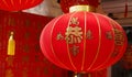 Tradition decoration lanterns of Chinese,word mean best wishes and good luck for the coming chinese new year