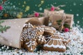 Tradition homemade gingerbread christmas cookies with decor Royalty Free Stock Photo