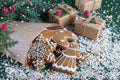 Tradition homemade gingerbread christmas cookies with decor Royalty Free Stock Photo