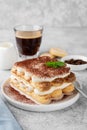 Tradition italian layered dessert tiramisu with mascarpone cream and biscuits on a white plate with cup of coffee Royalty Free Stock Photo