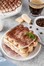 Tradition italian layered dessert tiramisu with mascarpone cream and biscuits on a white plate with cup of coffee Royalty Free Stock Photo