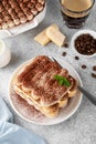 Tradition italian layered dessert tiramisu with mascarpone cream and biscuits on a white plate with cup of coffee Royalty Free Stock Photo