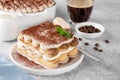 Tradition italian layered dessert tiramisu with mascarpone cream and biscuits on a white plate with cup of coffee Royalty Free Stock Photo