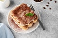 Tradition italian layered dessert tiramisu with mascarpone cream and biscuits on a white plate with cup of coffee Royalty Free Stock Photo